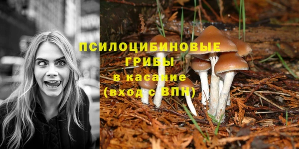 метадон Абдулино