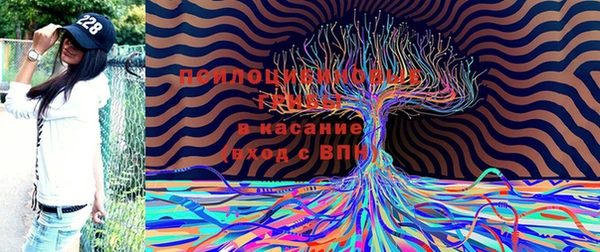 бутират Абаза